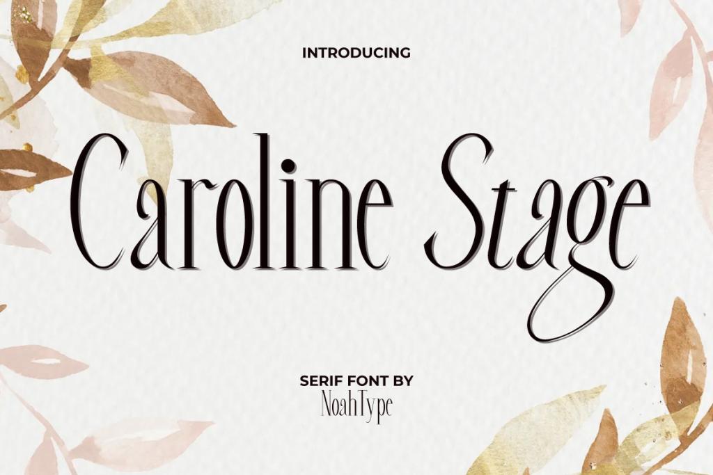 Caroline Stage Demo illustration 2
