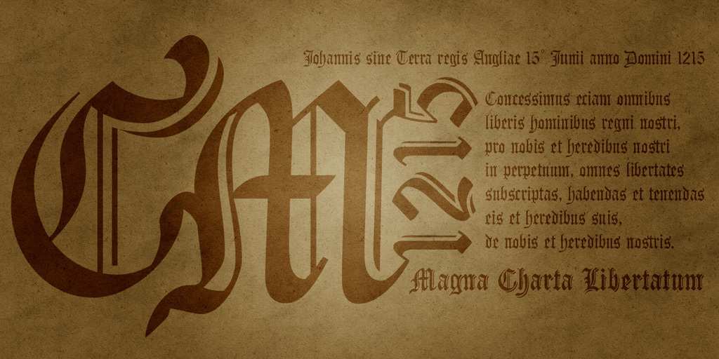 Carta Magna Line illustration 7
