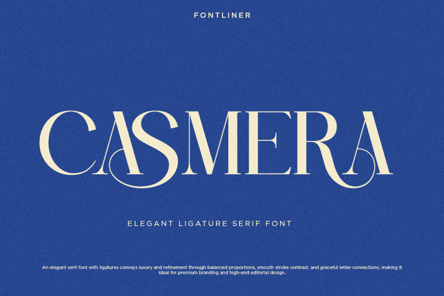 Large Fancy Script Letters Casmera DEMO Font · 1001 Fonts