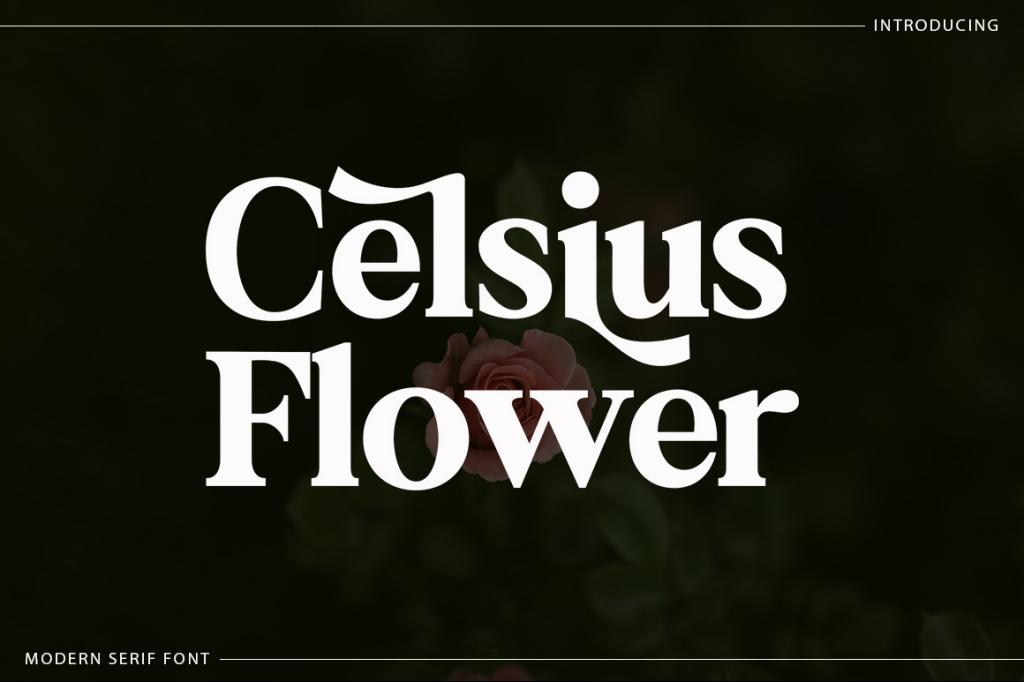 Celsius Flower illustration 3