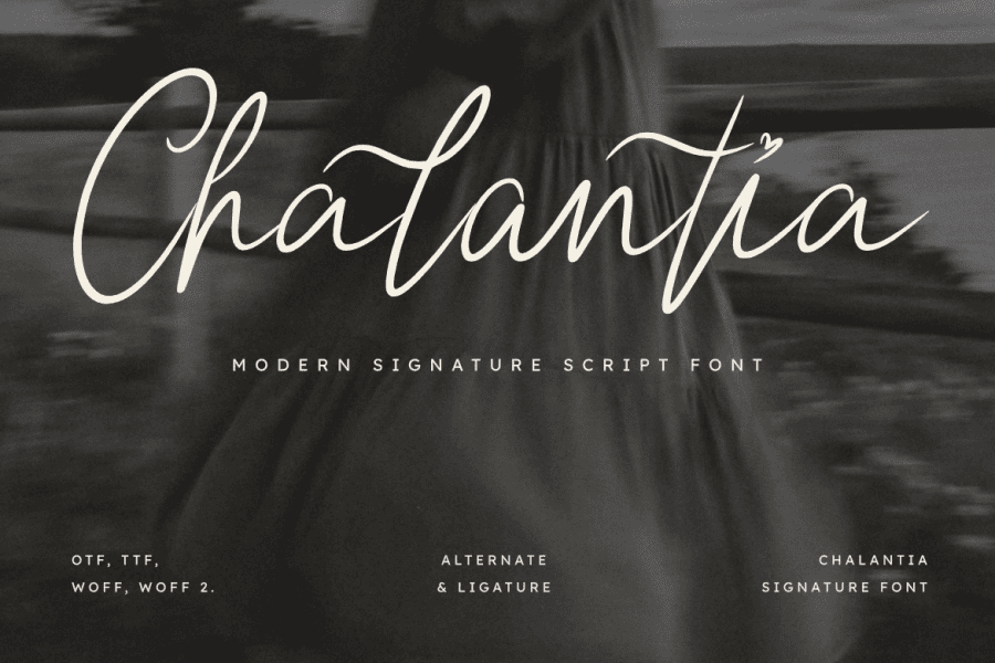 3 Free Cursive, Decorative, Identity Fonts · 1001 Fonts