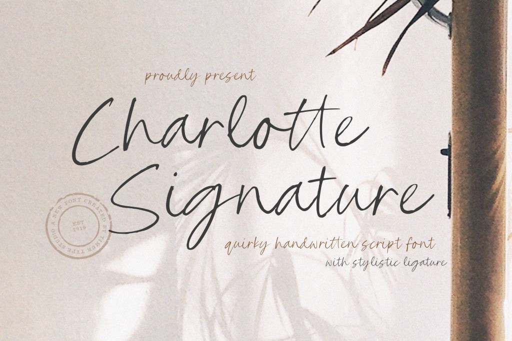 Charlotte Signature illustration 7