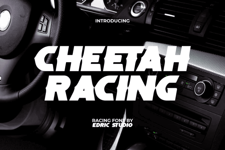 Cheetah Racing Demo Font · 1001 Fonts