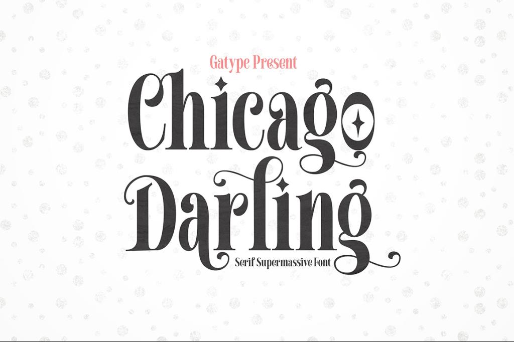 Chicago Darling Serif illustration 7