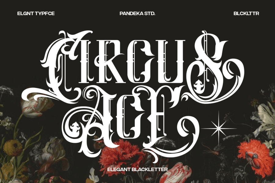 Circus Ace DEMO Font · 1001 Fonts