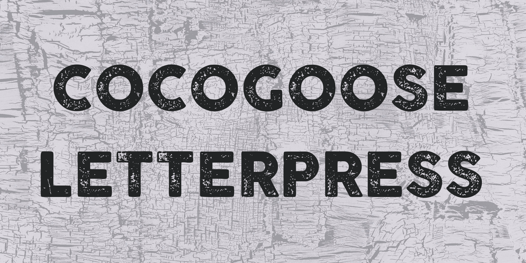 COCOGOOSE LETTERPRESS illustration 1
