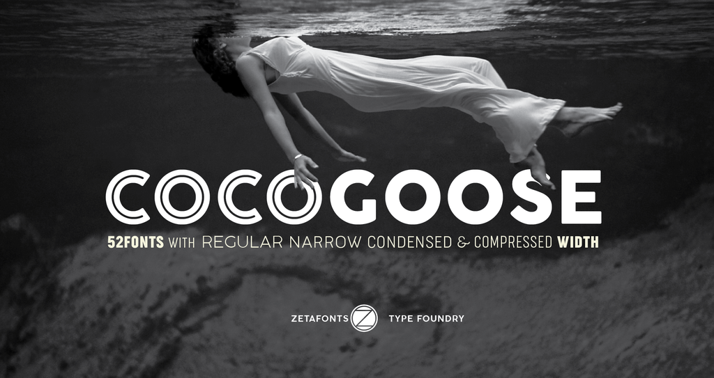 Cocogoose Pro illustration 17