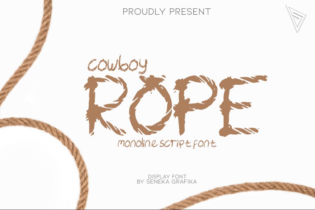 Cowboy Rope illustration 2