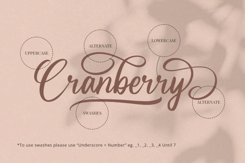 Cranberry illustration 12