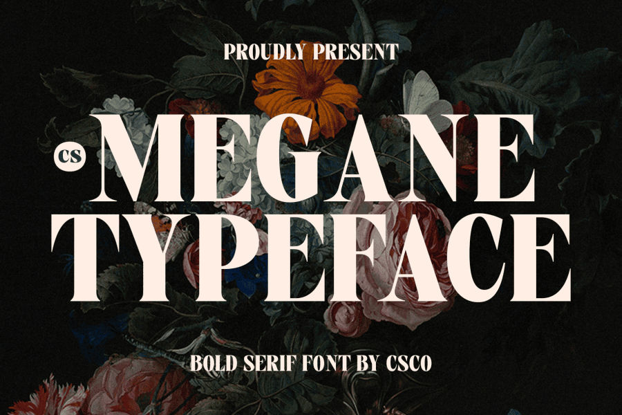 CS Megane Demo Font · 1001 Fonts