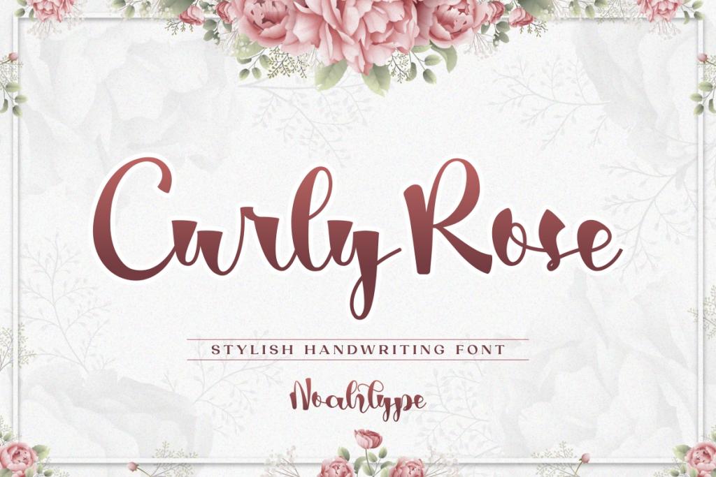Curly Rose Demo illustration 5