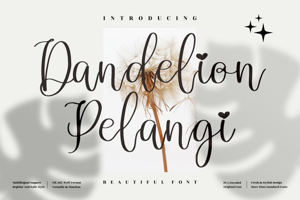 Dandelion Pelangi illustration 2