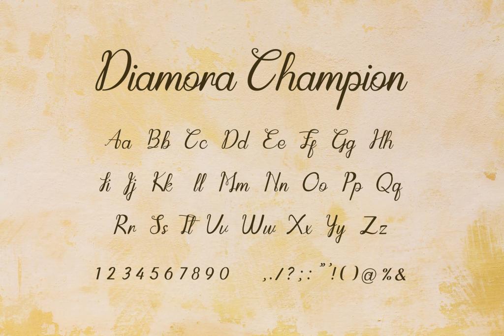 Diamora Champion illustration 5