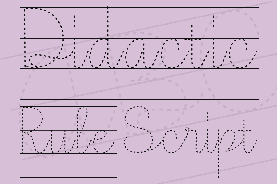 Didactic Font Family · 1001 Fonts