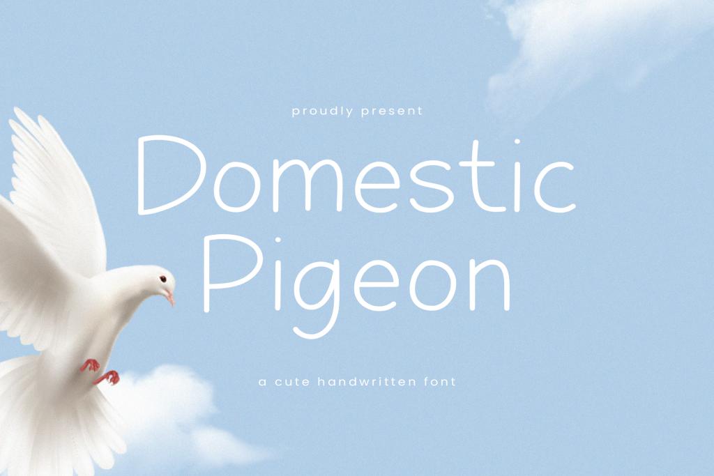 Domestic Pigeon illustration 6