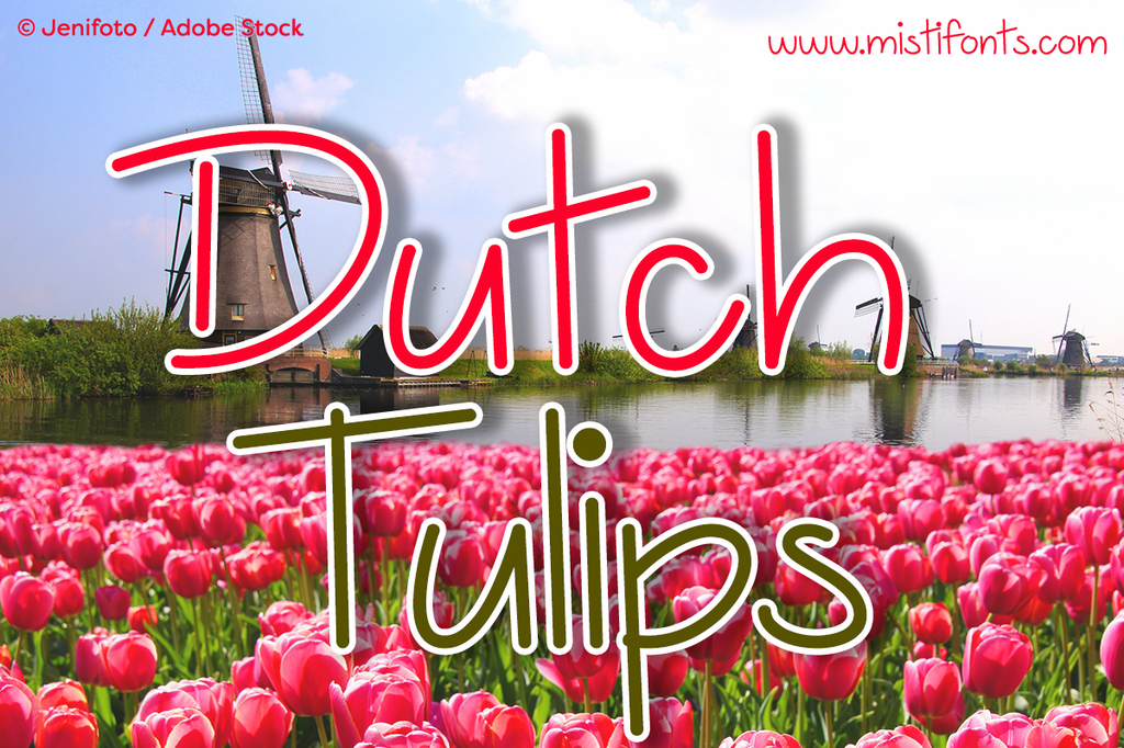 Dutch Tulips illustration 9