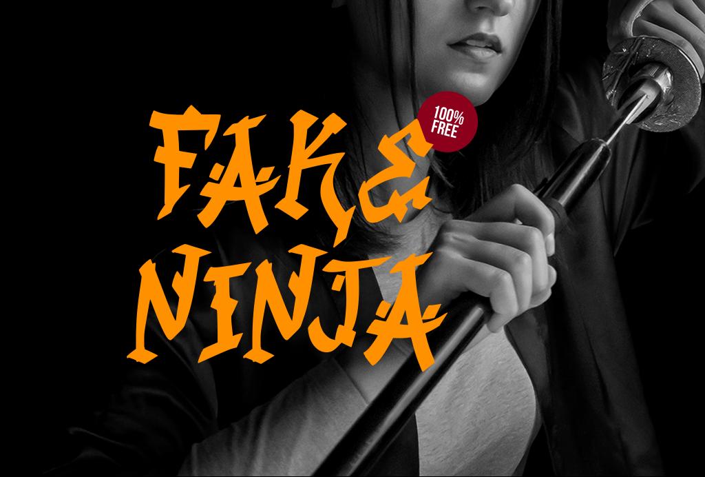 Fake Ninja illustration 4