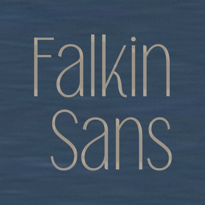 Falkin Sans PERSONAL illustration 3