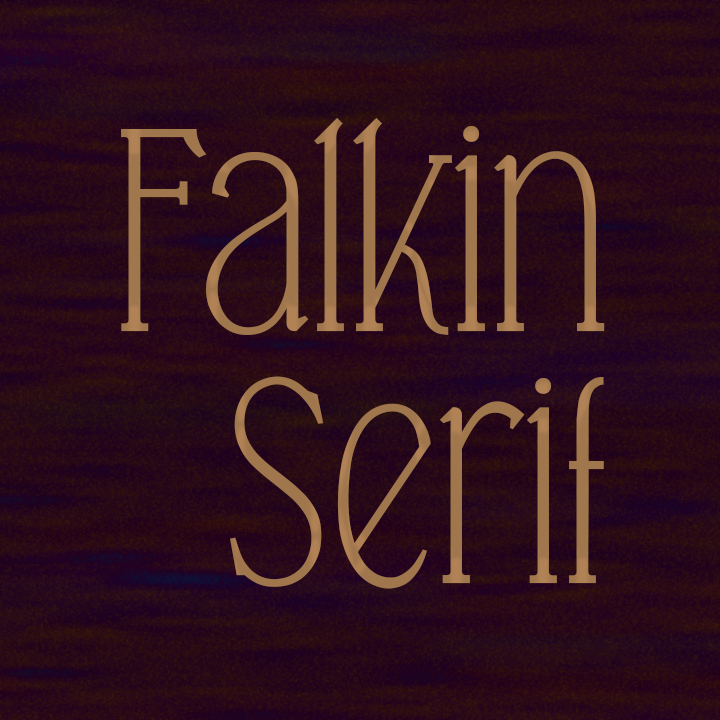 Falkin Serif illustration 2