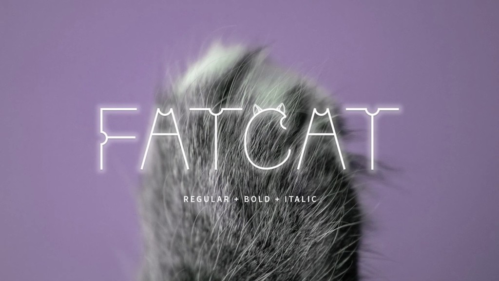Fatcat illustration 6