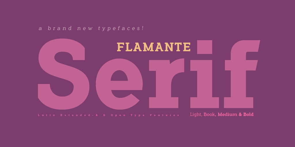 Flamante Serif illustration 4