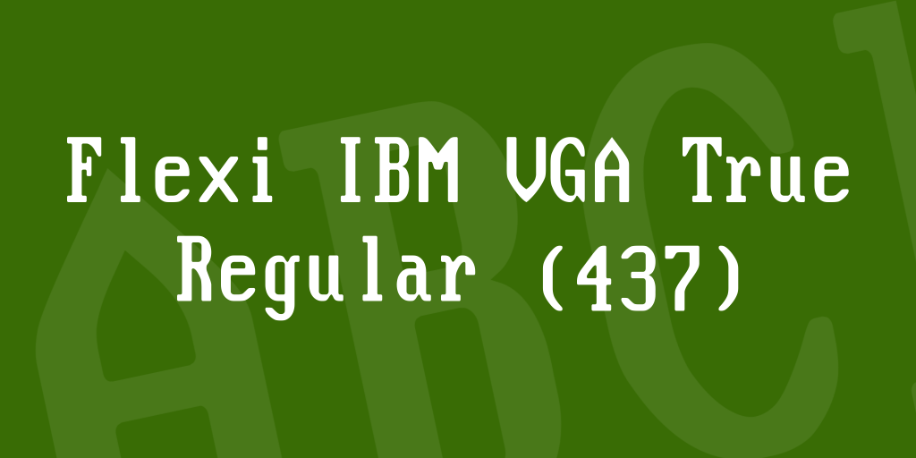 Flexi IBM VGA True illustration 2
