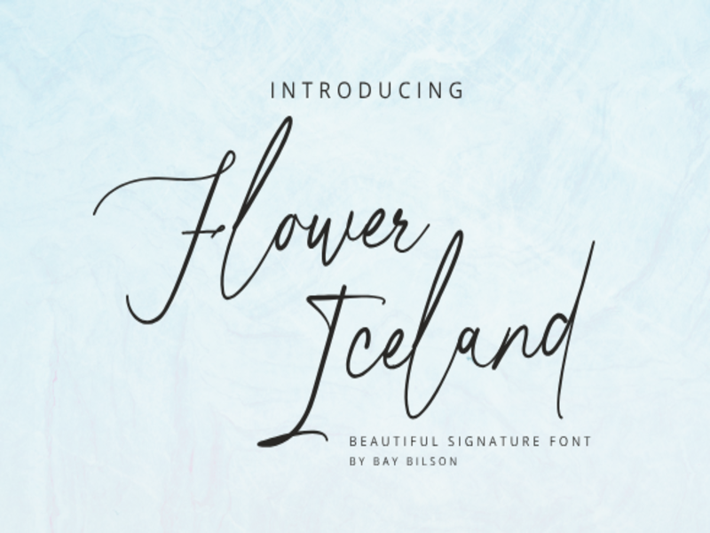 Flower Iceland illustration 2