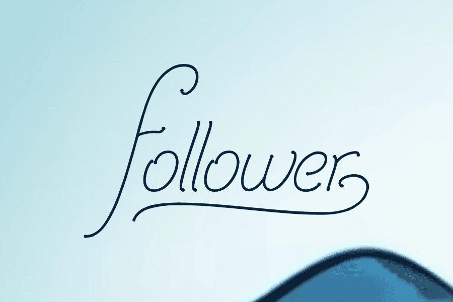Follower Font 1001 Fonts