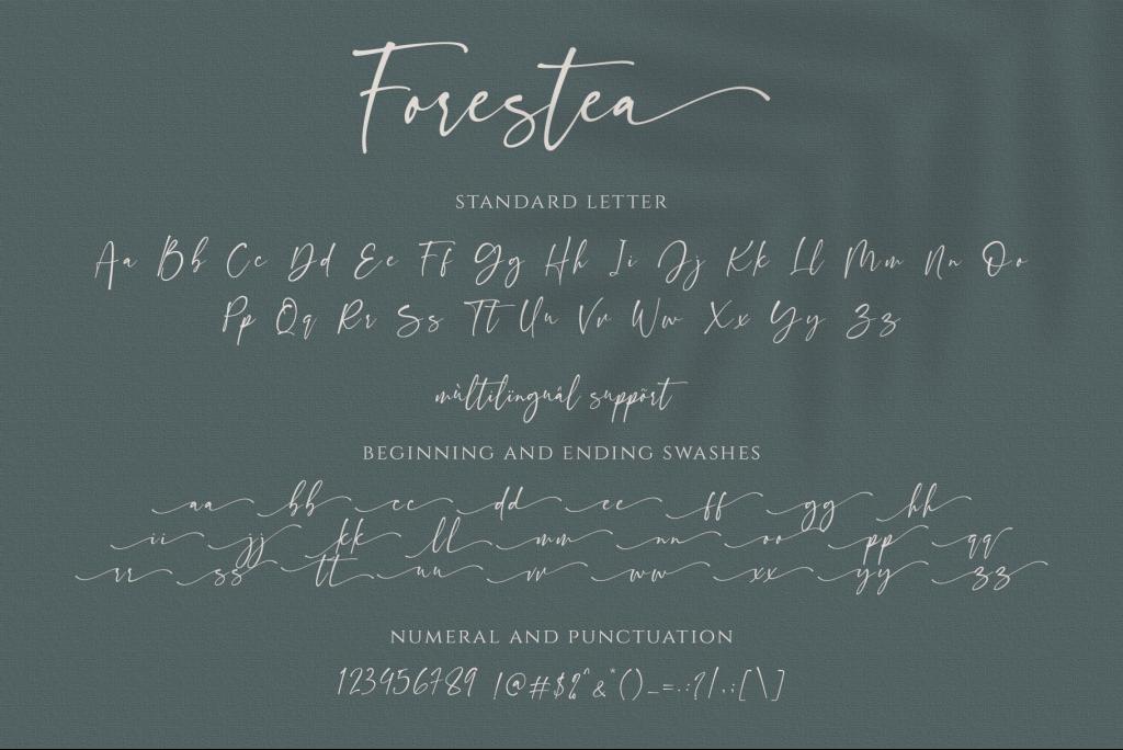 Forestea Script illustration 12