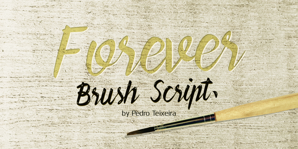 Forever Brush Script illustration 3