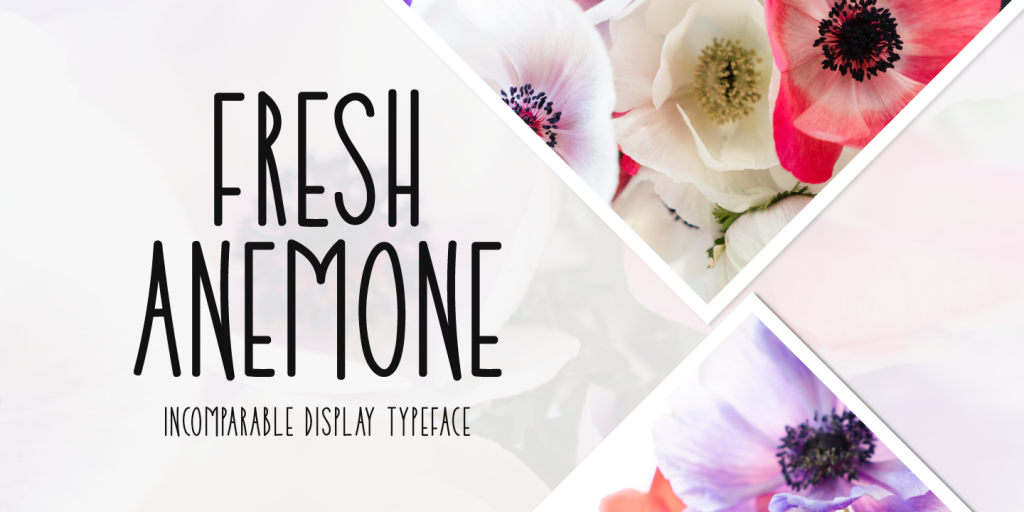 Fresh Anemone illustration 2