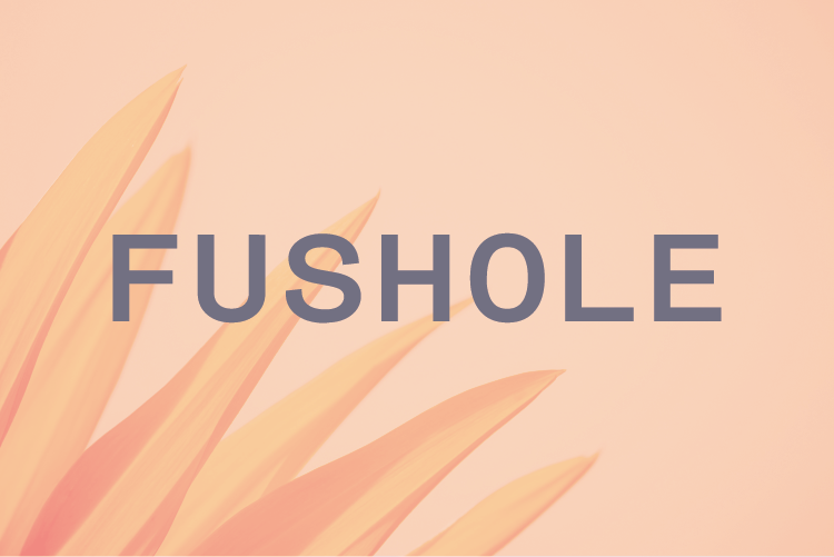 Fushole illustration 2