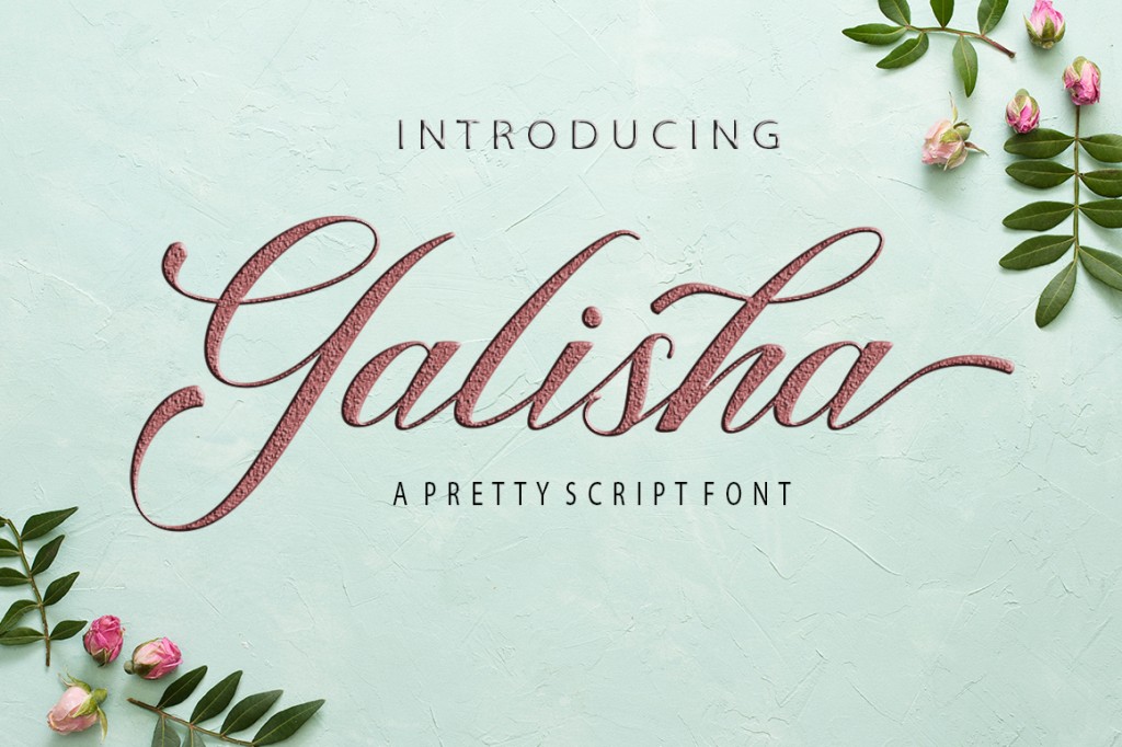 Galisha Script illustration 15