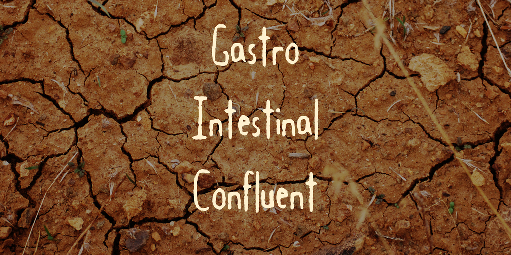 Gastro Intestinal Confluent illustration 1