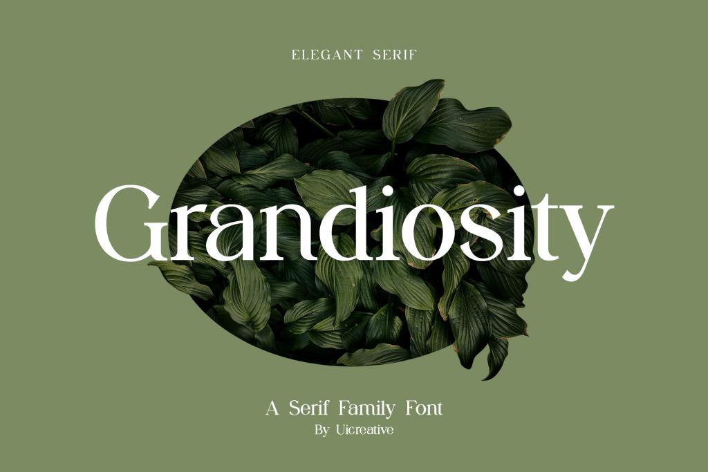 Grandiosity illustration 14