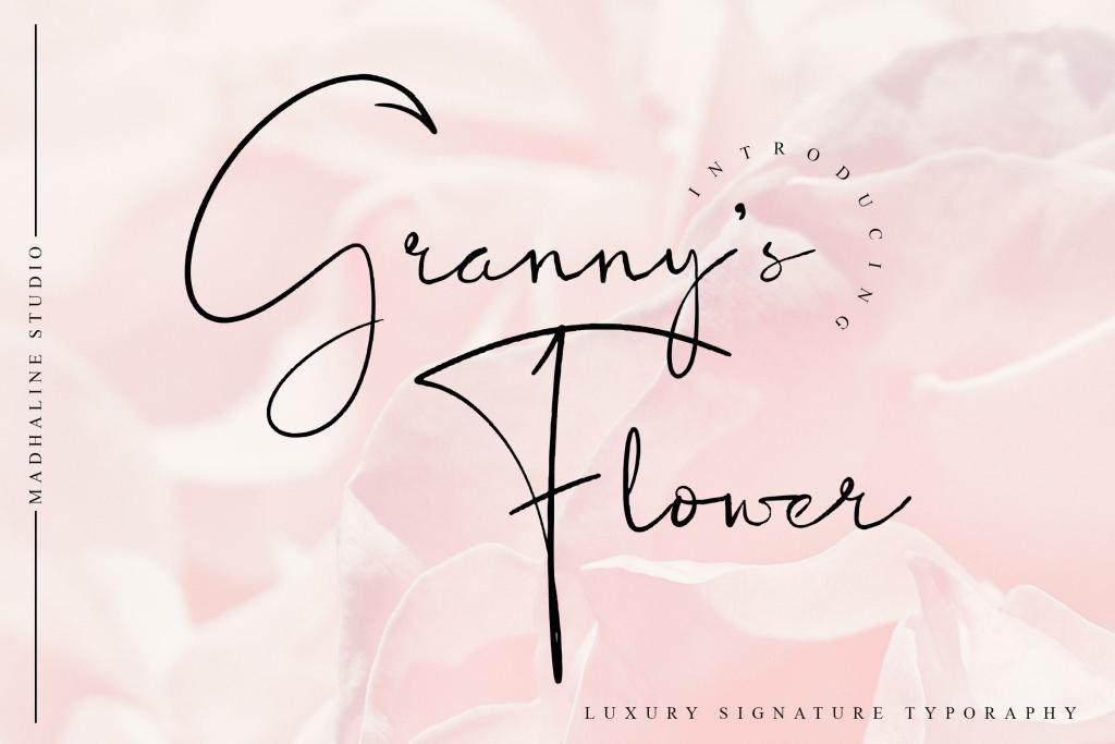 Granny's Flower illustration 2