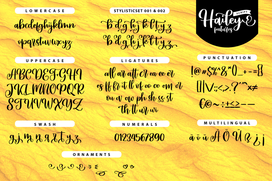 Hailey Script Font · 1001 Fonts