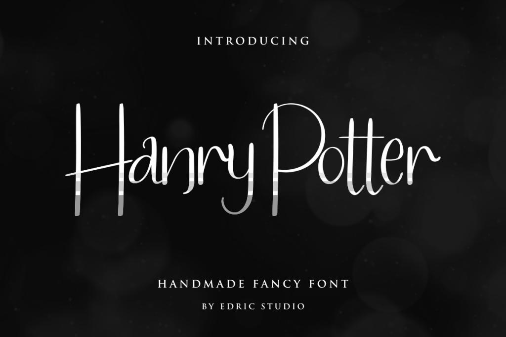 Hanry Potter Demo illustration 2