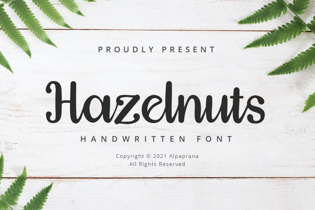 Hazelnuts illustration 2