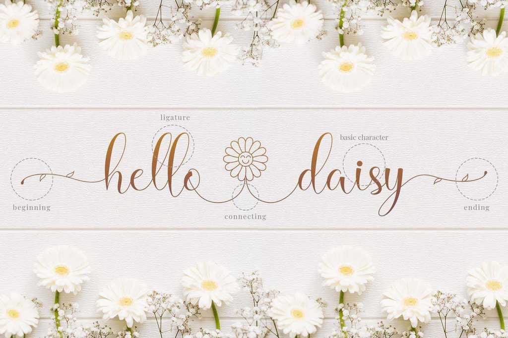 Hello Daisy illustration 6