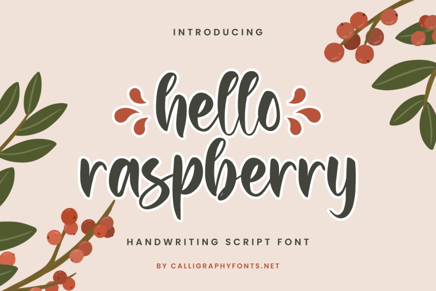 Hello Raspberry Demo Font · 1001 Fonts