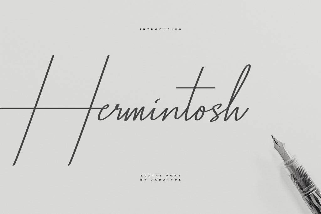 Hermintosh illustration 2