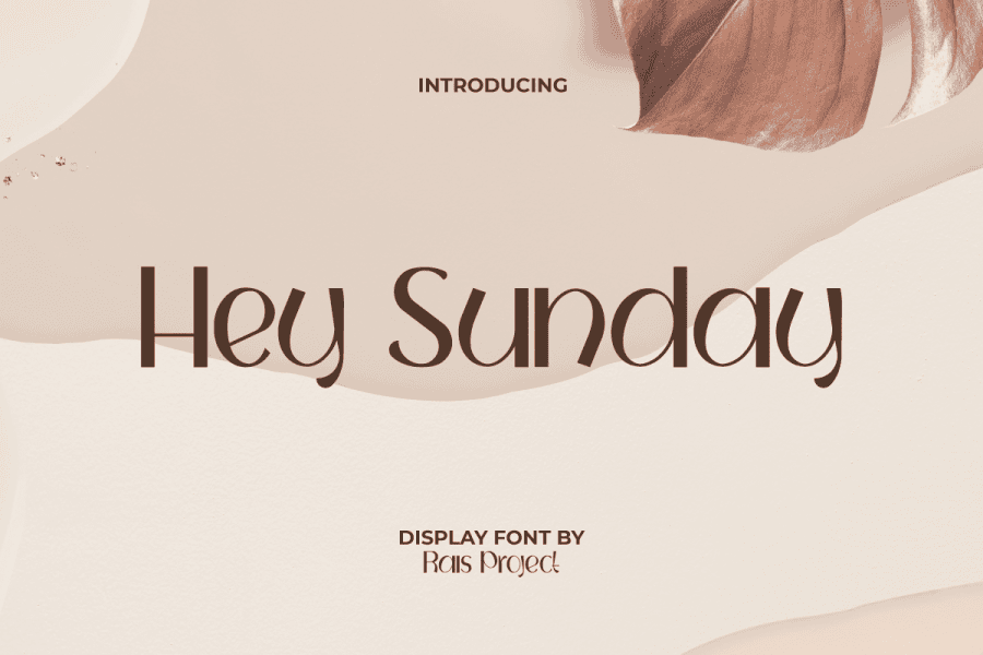 HeySundayDemo Font · 1001 Fonts