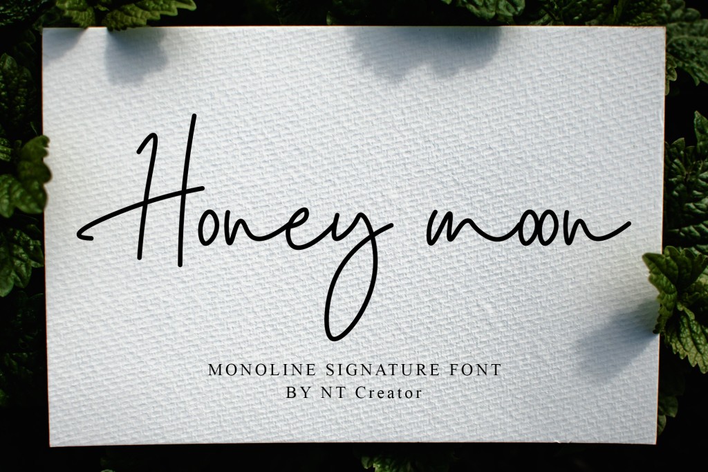 Honey Moon illustration 2