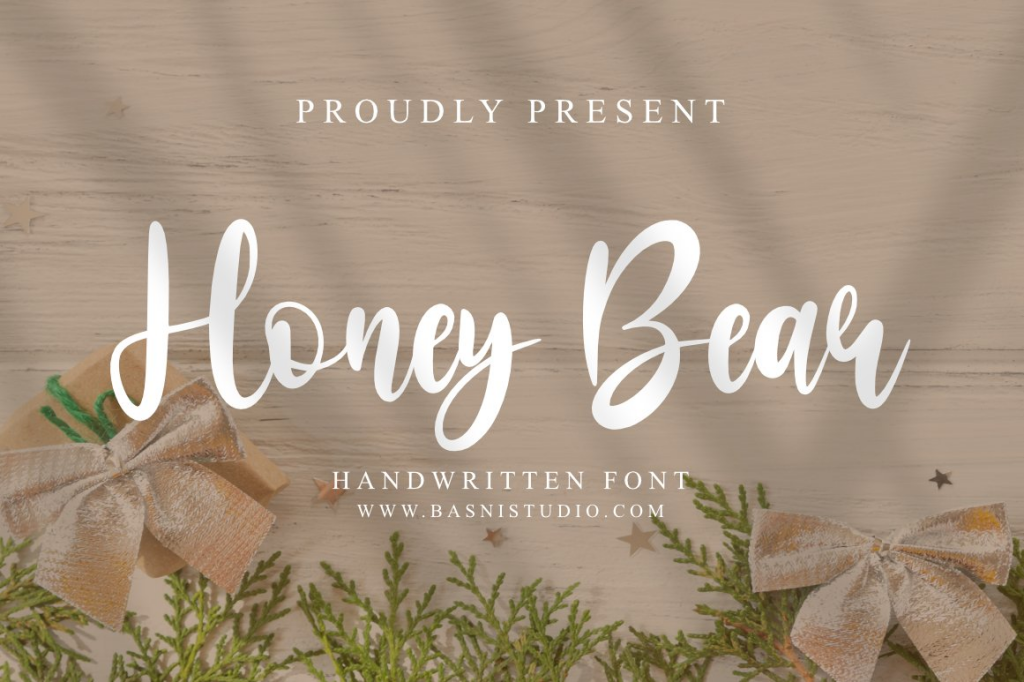 HoneyBear illustration 13