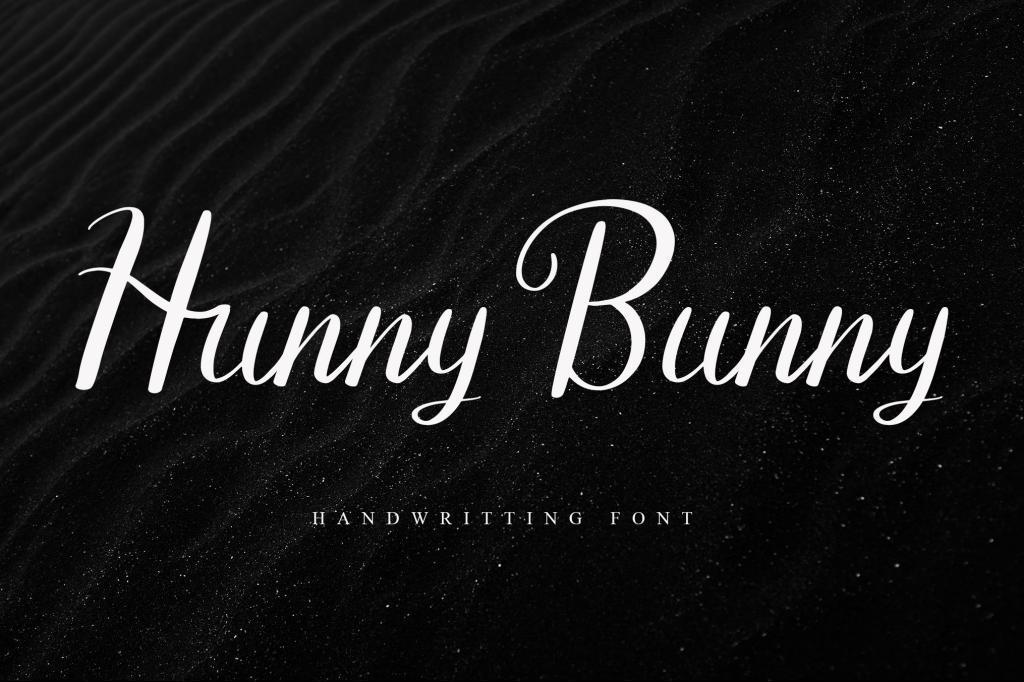Hunny Bunny illustration 2