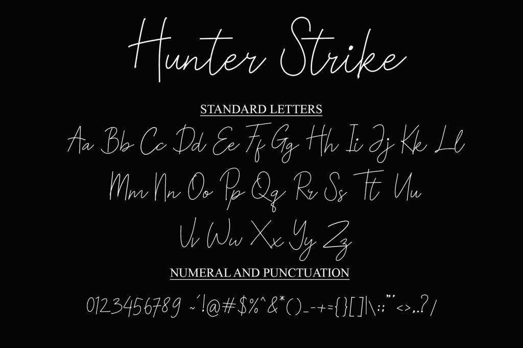 Hunter Strike illustration 5