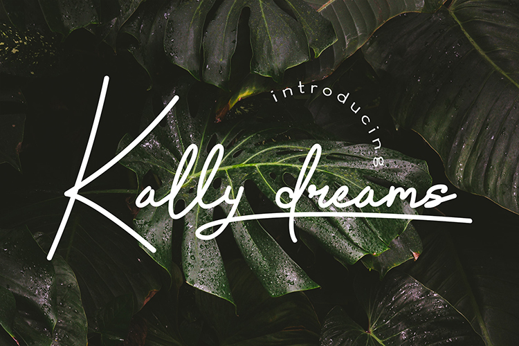 Kally dreams illustration 2