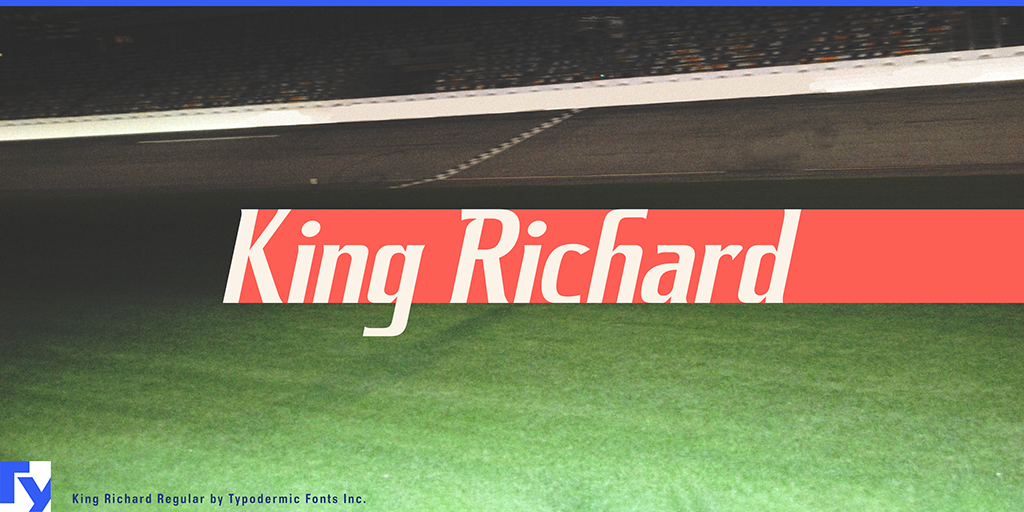 King Richard illustration 6