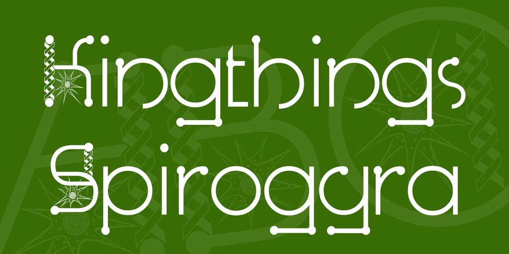 Kingthings Spirogyra illustration 1
